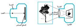 Mosireen workshop visuals-01.jpg