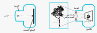 Mosireenworkshopvisuals-01.jpeg