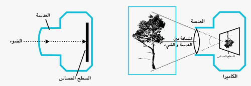 Mosireenworkshopvisuals-01.jpeg