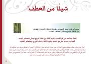 الصفحة التالية ←