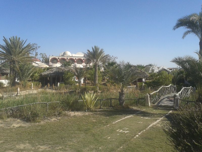 ملف:20150314 153159.jpg