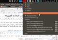 تصغير للنسخة بتاريخ 13:34، 26 فبراير 2014